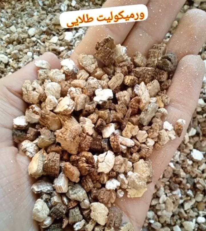 ورمیکولیت چیست ؟